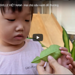 Mầm non Kidsville Vietnam
