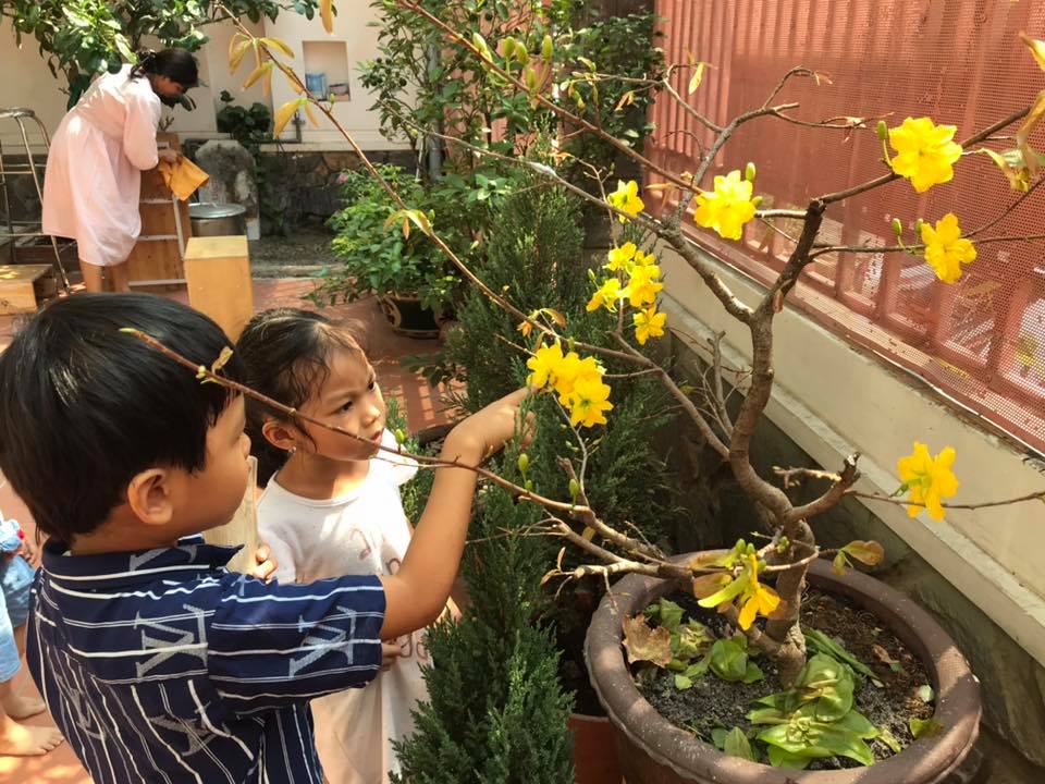 mầm non song ngữ quận 7